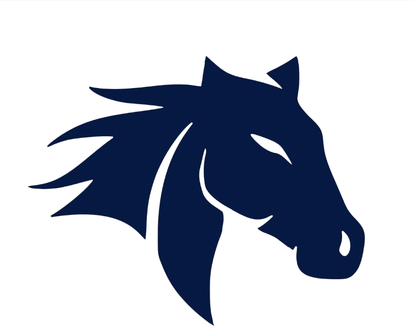 Heimar Solutions Logo